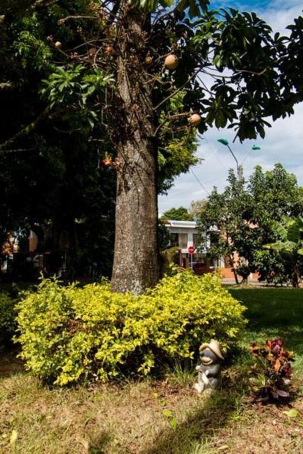 Hotel Hospedaje Caney "Descanso & Tradicion" Ayenda 1422 Cali Zewnętrze zdjęcie